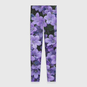 Леггинсы 3D с принтом Фиолетовый цвет весны , 80% полиэстер, 20% эластан | Эластичный пояс, зауженные к низу, низкая посадка | art | casual | весенний | весна | градиент | зелень | растения | структура | текстура | цветы