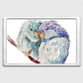Магнит 45*70 с принтом Акварельные попугаи , Пластик | Размер: 78*52 мм; Размер печати: 70*45 | love | parrot | watercolour | акварель | арт | любовь | нежность | попугаи