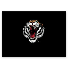 Поздравительная открытка с принтом ТИГР , 100% бумага | плотность бумаги 280 г/м2, матовая, на обратной стороне линовка и место для марки
 | animal | beast | cat | cute | fluffy | hunter | lion | lion cub | lion king | mane | predator | red | tail | tiger | yellow | большая кошка | голова тигра | грива | животное | зверь | король лев | кот | милый | охотник | пушистый | тигр | тиг