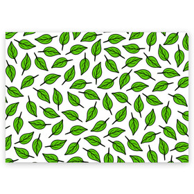 Поздравительная открытка с принтом Листопад , 100% бумага | плотность бумаги 280 г/м2, матовая, на обратной стороне линовка и место для марки
 | forest | green | leaves | nature | pattern | spring | summer | весна | ветки | деревья | зеленые листья | зеленый узор | зелень | камуфляж листья | лето | листья | падающие листья | природа | растения | текстура | тропики