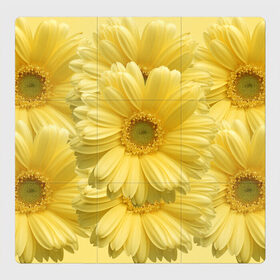 Магнитный плакат 3Х3 с принтом Желтые Герберы , Полимерный материал с магнитным слоем | 9 деталей размером 9*9 см | 8 марта | герберы | для девушек.белая | желтые | женский день | на 8 марта | разноцветные | с днем рождения | с цветами | цветы | черная