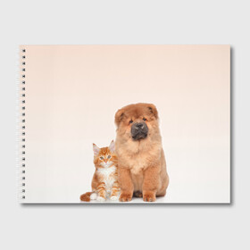 Альбом для рисования с принтом щенок и котенок друзья , 100% бумага
 | матовая бумага, плотность 200 мг. | Тематика изображения на принте: ветеринару | друзья | животные домашние | кот | котенок | любителю собак | млекопитающее | мультипликационный персонаж | мультяшная собака | мэй кун | песики | питомцы | псы | собакены | собаки