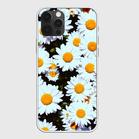 Чехол для iPhone 12 Pro Max с принтом Ромашки , Силикон |  | 2021 | бабочка | весенняя | весна | вишня | вселенная | коронавирус | космос | лето | лилия | мимоза | океан | отпуск | роза | розы | ромашка | ромашки | с бабочками | с цветами | сад | сакура | фиалка