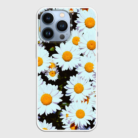Чехол для iPhone 13 Pro с принтом Ромашки ,  |  | 2021 | бабочка | весенняя | весна | вишня | вселенная | коронавирус | космос | лето | лилия | мимоза | океан | отпуск | роза | розы | ромашка | ромашки | с бабочками | с цветами | сад | сакура | фиалка