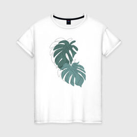 Женская футболка хлопок с принтом Monstera , 100% хлопок | прямой крой, круглый вырез горловины, длина до линии бедер, слегка спущенное плечо | flo | flowers | растения | флористика | цветение | цветы