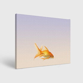 Холст прямоугольный с принтом золотая рыбка , 100% ПВХ |  | аквариум | градиент | золотая рыбка | подводный мир | рыба | рыбешка | рыбка