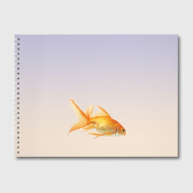 Альбом для рисования с принтом золотая рыбка , 100% бумага
 | матовая бумага, плотность 200 мг. | аквариум | градиент | золотая рыбка | подводный мир | рыба | рыбешка | рыбка