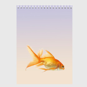 Скетчбук с принтом золотая рыбка , 100% бумага
 | 48 листов, плотность листов — 100 г/м2, плотность картонной обложки — 250 г/м2. Листы скреплены сверху удобной пружинной спиралью | аквариум | градиент | золотая рыбка | подводный мир | рыба | рыбешка | рыбка