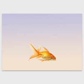 Поздравительная открытка с принтом золотая рыбка , 100% бумага | плотность бумаги 280 г/м2, матовая, на обратной стороне линовка и место для марки
 | Тематика изображения на принте: аквариум | градиент | золотая рыбка | подводный мир | рыба | рыбешка | рыбка