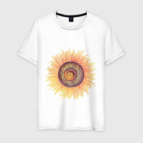 Мужская футболка хлопок с принтом большой подсолнух рисунок , 100% хлопок | прямой крой, круглый вырез горловины, длина до линии бедер, слегка спущенное плечо. | акварель | желтый | краска | лето | оранжевый | подсолнухи | рисунок | рубэкия | румбекия | солнце | цветы | ярко