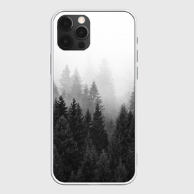Чехол для iPhone 12 Pro Max с принтом Туманный лес , Силикон |  | tegunvteg | деревья | лес | листья | природа | темный лес | туман | туманный лес