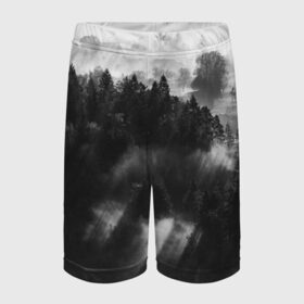 Детские спортивные шорты 3D с принтом Туман в лесу ,  100% полиэстер
 | пояс оформлен широкой мягкой резинкой, ткань тянется
 | tegunvteg | деревья | лес | листья | природа | темный лес | туман