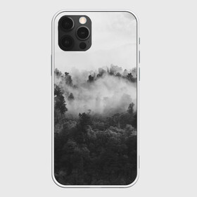 Чехол для iPhone 12 Pro Max с принтом Лес , Силикон |  | tegunvteg | деревья | лес | листья | природа | темный лес | туман | туман в лесу