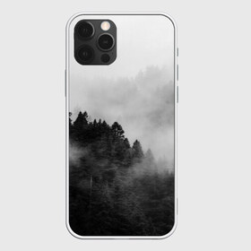 Чехол для iPhone 12 Pro Max с принтом Природа - Лес , Силикон |  | tegunvteg | деревья | лес | листья | природа | темный лес | туман | туманный лес