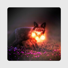 Магнит виниловый Квадрат с принтом Лисица с фонариками , полимерный материал с магнитным слоем | размер 9*9 см, закругленные углы | fox | foxy | животное | звери | лиса | лисенок | лисичка | милая | рыжая | фокс