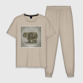 Мужская пижама хлопок с принтом Слоны , 100% хлопок | брюки и футболка прямого кроя, без карманов, на брюках мягкая резинка на поясе и по низу штанин
 | иллюстрация | рисунок | серый | слон | слоненок
