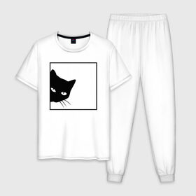 Мужская пижама хлопок с принтом BLACK CAT | ЧЕРНАЯ КОШКА , 100% хлопок | брюки и футболка прямого кроя, без карманов, на брюках мягкая резинка на поясе и по низу штанин
 | black | cat | cats | creative | hunter | minimalism | night | кот | коте | котенок | котэ | кошка | креатив | креативная | минимализм | надпись | ночь | охотник | текст | черная | черный