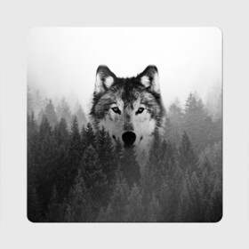 Магнит виниловый Квадрат с принтом Волк , полимерный материал с магнитным слоем | размер 9*9 см, закругленные углы | tegunvteg | волк | деревья | красивый лес | лес | листья | природа | собака | темный лес