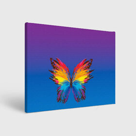 Холст прямоугольный с принтом красочная бабочка , 100% ПВХ |  | Тематика изображения на принте: абстрактное искусство | бабочка | беспозвоночные | брызги | градиент | краска | красочная | крылья | лето | мотыльки и бабочки | насекомое | радуга | ярко