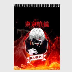 Скетчбук с принтом Токийский гуль Канеки в огне , 100% бумага
 | 48 листов, плотность листов — 100 г/м2, плотность картонной обложки — 250 г/м2. Листы скреплены сверху удобной пружинной спиралью | anime | kaneki ken | tokyo ghoul | tokyo ghoul: re | аниме | анимэ | гули | джузо сузуя | канеки кен | кузен йошимура | наки | нишики нишио | ре | ренджи йомо | ризе камиширо | токийский гуль | тоука киришима | ута