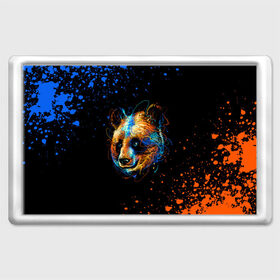Магнит 45*70 с принтом КРАСОЧНАЯ ПАНДА , Пластик | Размер: 78*52 мм; Размер печати: 70*45 | blue | colors | orange | paints | panda | брызги | краски | медведь | панда