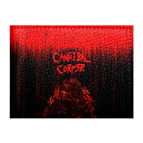 Обложка для студенческого билета с принтом CANNIBAL CORPSE , натуральная кожа | Размер: 11*8 см; Печать на всей внешней стороне | blood | cannibal corpse | death metal | grunge | hardcore | music | punk | rock | usa | группа | канибал | кровь | метал | музыка | рок | сша | труп