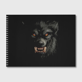 Альбом для рисования с принтом Оборотень | Werewolf , 100% бумага
 | матовая бумага, плотность 200 мг. | Тематика изображения на принте: werewolf | волк | зверь | зло | мистика | монстр | оборотень | полнолуние | ужасы