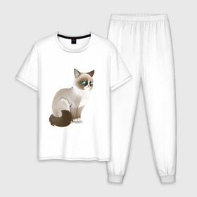 Мужская пижама хлопок с принтом Grumpy Cat , 100% хлопок | брюки и футболка прямого кроя, без карманов, на брюках мягкая резинка на поясе и по низу штанин
 | grumpy cat | грустный кот | кот мем | мем | сердитая кошка
