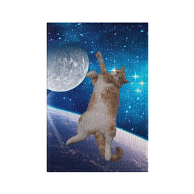 Обложка для паспорта матовая кожа с принтом Кисулькин в космосе , натуральная матовая кожа | размер 19,3 х 13,7 см; прозрачные пластиковые крепления | астроном пушистый | барсик | звезды | космос | котики | коты