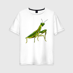 Женская футболка хлопок Oversize с принтом Богомол , 100% хлопок | свободный крой, круглый ворот, спущенный рукав, длина до линии бедер
 | animals | insect | mantis | nature | summer | богомол | весна | дикие | животные | жуки | звери | зеленый богомол | клещни | комары | кузнечики | лапки | лето | мухи | насекомое | природа | самка | стрекоза | существа | усики
