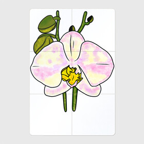 Магнитный плакат 2Х3 с принтом Орхидея , Полимерный материал с магнитным слоем | 6 деталей размером 9*9 см | exotic | flowers | nature | orchid | phalaenopsis | summer | tropic | арт | бабочки | букет | бутон | весна | джунгли | лепестки | лето | листья | орхидея | подарок | природа | растения | рисунок | сад | тропики | тропические
