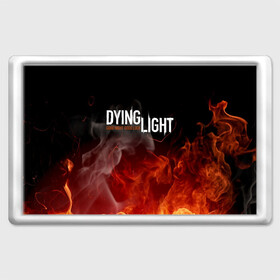 Магнит 45*70 с принтом DYING LIGHT 2 , Пластик | Размер: 78*52 мм; Размер печати: 70*45 | dying light | dying light 2 | даинг лайт