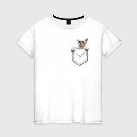 Женская футболка хлопок с принтом Мокрый Кот в Кармане , 100% хлопок | прямой крой, круглый вырез горловины, длина до линии бедер, слегка спущенное плечо | в кармане | животные | звери | котенок | кошка | лапки | мокрый | прикол