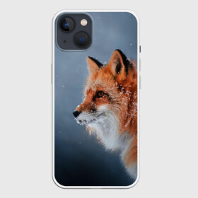 Чехол для iPhone 13 с принтом Лиса ,  |  | fox | foxy | животное | звери | лиса | лисенок | лисичка | милая | рыжая | фокс