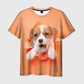Мужская футболка 3D с принтом Собака , 100% полиэфир | прямой крой, круглый вырез горловины, длина до линии бедер | dog | барбос | дворняга | друг человека | пёс | псина | собака | собачка | собачонка | четвероногий друг | шарик | щенок