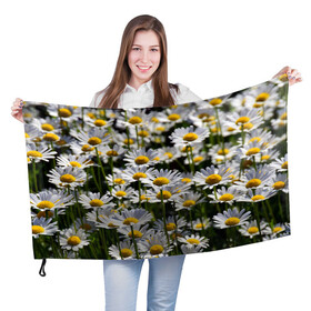Флаг 3D с принтом Ромашки , 100% полиэстер | плотность ткани — 95 г/м2, размер — 67 х 109 см. Принт наносится с одной стороны | поле | поля | природа | природный | растение | растения | ромашка | ромашки | цветочек | цветочки | цветочное | цветы
