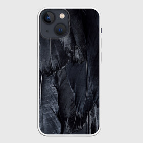 Чехол для iPhone 13 mini с принтом ВОРОНА ,  |  | ворона | готика | мрачное | перья | хайп