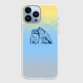 Чехол для iPhone 13 Pro Max с принтом Совиная нежность ,  |  | 2021 | color2021 | illuminating | pantone | ultimate grey | yellow | желтый | любовь | природа | путешествия | серый | совы