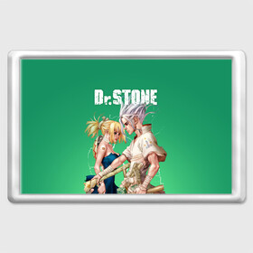 Магнит 45*70 с принтом Dr Stone , Пластик | Размер: 78*52 мм; Размер печати: 70*45 | dr. stone | kohaku | senku | taiju | доктор стоун | исигами сэнку | кохаку | сэнку | тайдзю | цукаса