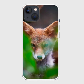 Чехол для iPhone 13 с принтом Лисичка ,  |  | fox | foxy | животное | звери | лиса | лисенок | лисичка | милая | рыжая | фокс