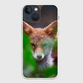 Чехол для iPhone 13 mini с принтом Лисичка ,  |  | fox | foxy | животное | звери | лиса | лисенок | лисичка | милая | рыжая | фокс