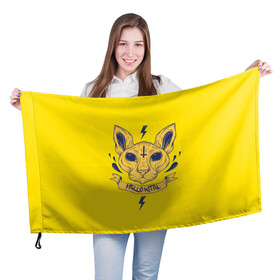Флаг 3D с принтом hellokitty , 100% полиэстер | плотность ткани — 95 г/м2, размер — 67 х 109 см. Принт наносится с одной стороны | китти kitty кошка hellokitty мимими хэллоукитти