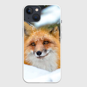 Чехол для iPhone 13 с принтом Лисичка на сугробе ,  |  | fox | foxy | животное | звери | лиса | лисенок | лисичка | милая | рыжая | фокс