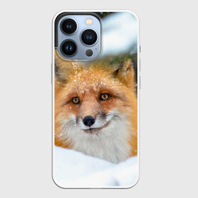 Чехол для iPhone 13 Pro с принтом Лисичка на сугробе ,  |  | fox | foxy | животное | звери | лиса | лисенок | лисичка | милая | рыжая | фокс