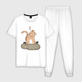 Мужская пижама хлопок с принтом Кот в мешке , 100% хлопок | брюки и футболка прямого кроя, без карманов, на брюках мягкая резинка на поясе и по низу штанин
 | cat | кот в мешке | кот из мема | рыжий котик | удивленный кошак
