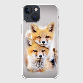 Чехол для iPhone 13 mini с принтом Лисята ,  |  | детеныши | животные | лиса | лисенок | лисичка | лисята | природа | рыжая