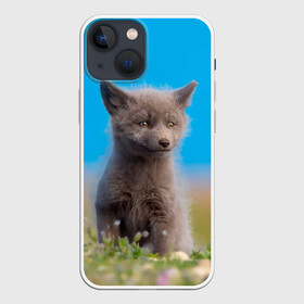 Чехол для iPhone 13 mini с принтом Смешной лисенок ,  |  | fox | foxy | животное | звери | лиса | лисенок | лисичка | милая | рыжая | фокс