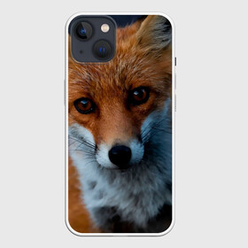 Чехол для iPhone 13 с принтом Мудрая лиса ,  |  | fox | foxy | животное | звери | лиса | лисенок | лисичка | милая | рыжая | фокс