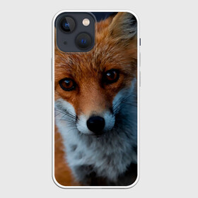 Чехол для iPhone 13 mini с принтом Мудрая лиса ,  |  | fox | foxy | животное | звери | лиса | лисенок | лисичка | милая | рыжая | фокс