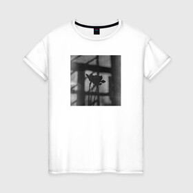 Женская футболка хлопок с принтом Нарциссы на фоне окна , 100% хлопок | прямой крой, круглый вырез горловины, длина до линии бедер, слегка спущенное плечо | нарциссы | натюрморт | природа | цветы | чёрное и белое